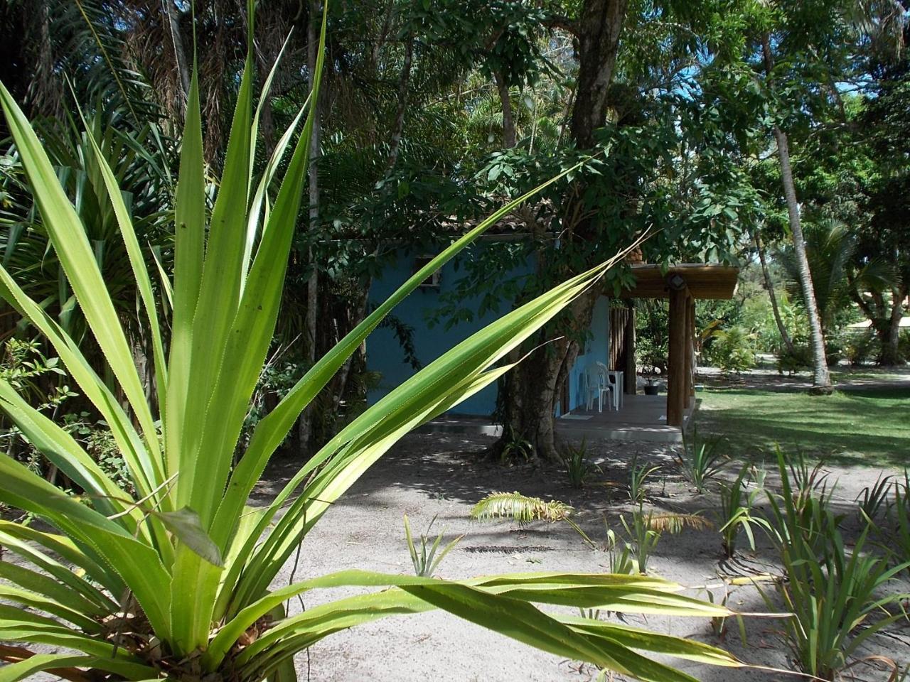 Onca 1024 Villa Trancoso Eksteriør bilde